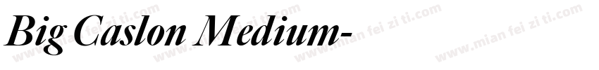 Big Caslon Medium字体转换